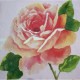 Ubrousek růžový s růží 33x33 cm