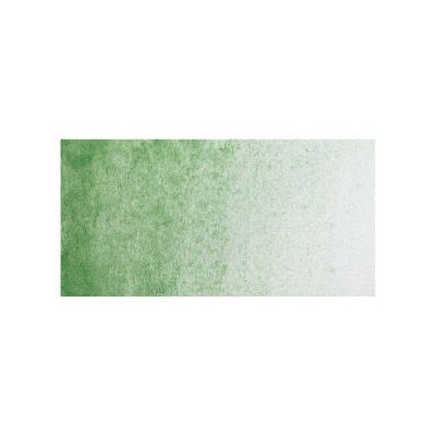 ShinHan Akvarelová barva PWC 15 ml Oxide of Chromium 591