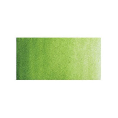 ShinHan Akvarelová barva PWC 15 ml Sap Green 589