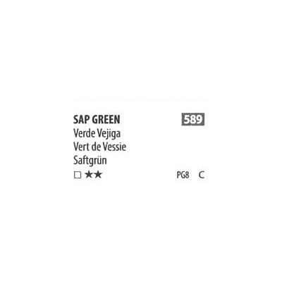 ShinHan Akvarelová barva PWC 15 ml Sap Green 589