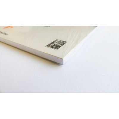 Blok A4 20 listů 205g/m² Bristol Clairefontaine detail papíru