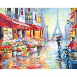 Malování podle čísel Romantická Paříž 40x50 cm + 3 štětce + 2x háčky