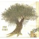 Ubrousek olivový strom 33x33 cm