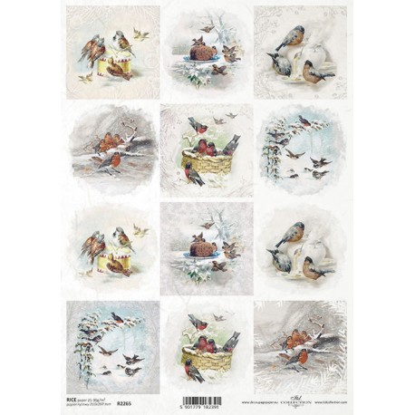 Rýžový papír Ptáci v zimě A4