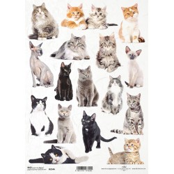 Rýžový papír Kočky a koťata A4