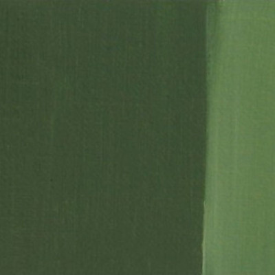 Charvin Paris Akrylová barva Extra fine Olive Green 306 tuba 200 ml pohled na odstín