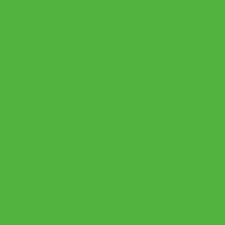 Vzorník Akrylová barva Fluorescent Green 574 ShinHan 50ml