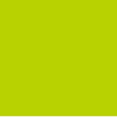 Vzorník Akrylová barva Brilliant Yellow Green 525 ShinHan 50ml