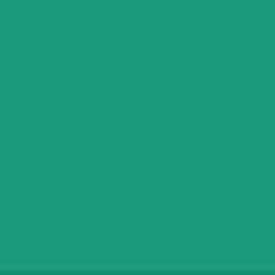 Vzorník Akrylová barva Bright Aqua Green 524 ShinHan 50ml