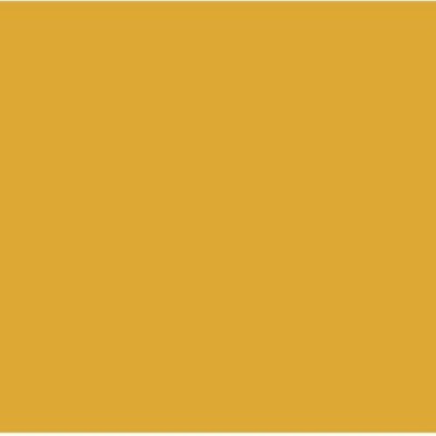 Vzorník Akrylová barva Yellow Ochre 551 ShinHan 50ml