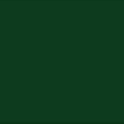 Akrylová barva Hooker's Green 528 ShinHan 50ml