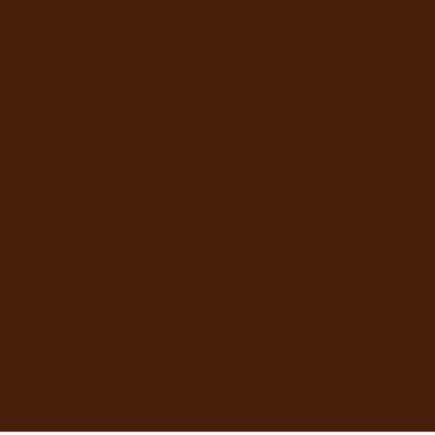 Akrylová barva Burnt Umber 556 ShinHan 50ml vzorník