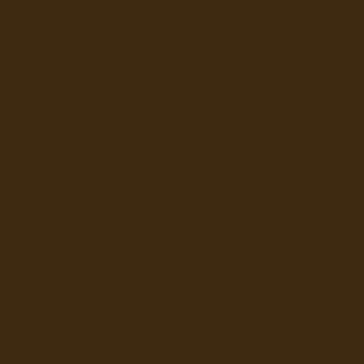 Akrylová barva Raw Umber 555 ShinHan 50ml vzorník