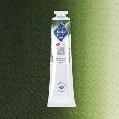 Nevskaya Palitra Olejová barva Master Class 46ml Sap Green 716