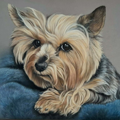 Ukázka suchý pastel naše Eliška. Koh-I-Noor Suché pastely Toison D'Or Prašné 8514/24  sada 24 ks. Papír Pastelmat.