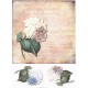 Rýžový papír A4 Hortenzie a nápis belle jardiniere 21x29,7 cm