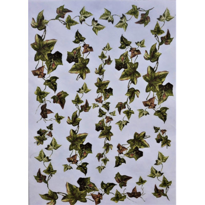 Rýžový papír, Břečťanové lístky, A4