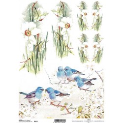 Rýžový papír Narcisky a ptáčci