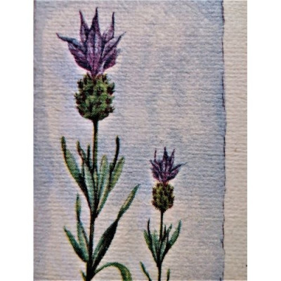 Malířské plátno na dřevěném rámu 10x10 cm
