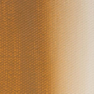 Nevskaya Palitra Olejová barva Master Class 46ml Ochre Light 206