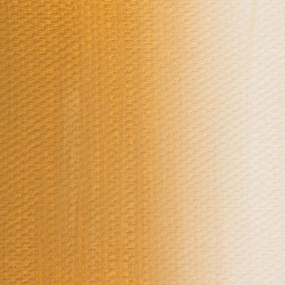 Nevskaya Palitra Olejová barva Master 46ml Class Yellow Ochre 218