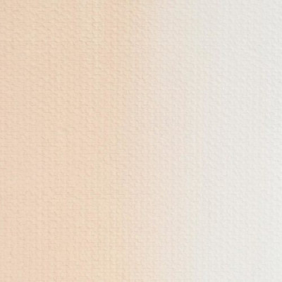 Nevskaya Palitra Olejová barva Master Class 46ml Naples Flesh 222