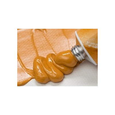 Nevskaya Palitra  Olejová barva Master Class 46ml Golden Yellow 249