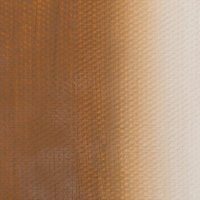 Nevskaya Palitra Olejová barva Master Class 46ml Yellow Vyke 245