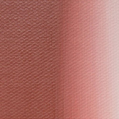 Nevskaya Palitra Olejová barva Master Class 46 ml English Red 300