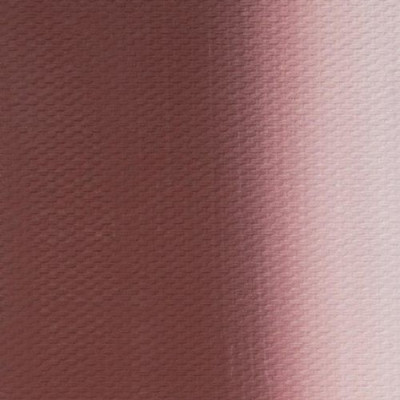 Nevskaya Palitra Olejová barva Master Class 46 ml Indian Red 301