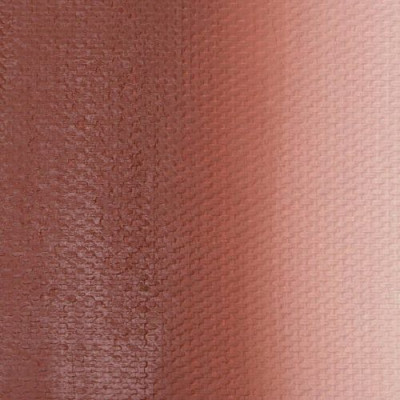 Nevskaya Palitra Olejová barva Master 46ml Class Red Ochre 309
