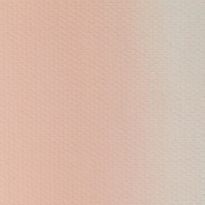 Nevskaya Palitra Olejová barva Master Class 46ml Naples Rose 333