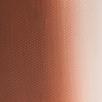 Nevskaya Palitra Olejová barva Master Class 46ml Red Brown Sevan 358