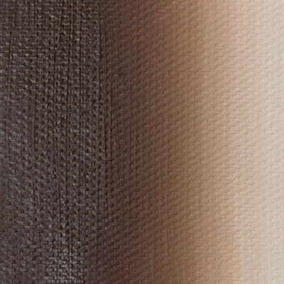 Nevskaya Palitra Olejová barva Master Class 46 ml Mars Brown Deep 403