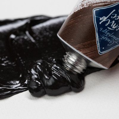 Nevskaya Palitra Olejová barva Master Class 46 ml Vandyke Brown 401