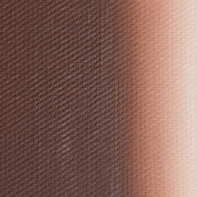 Nevskaya Palitra Olejová barva Master Class 46ml Burnt Sienna 406