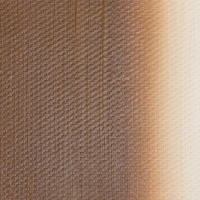 Nevskaya Palitra Olejová barva Master Class 46 ml Raw Sienna 405