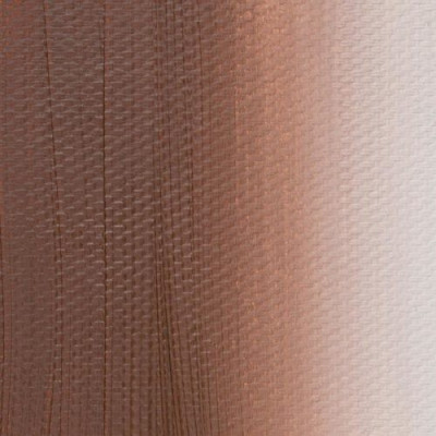 Nevskaya Palitra Olejová barva Master Class 46ml Brown Light Sevan 427