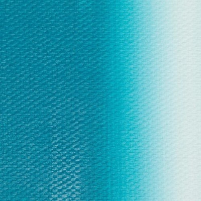 Nevskaya Palitra Olejová barva Master Class 46ml Turquoise Blue 507