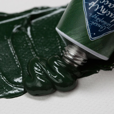 Nevskaya Palitra Olejová barva Master Class 46ml Viridian 701
