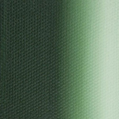 Nevskaya Palitra Olejová barva Master Class 46ml Viridian 701