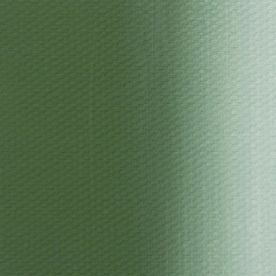 Nevskaya Palitra Olejová barva Master Class 46ml Chromium Oxide 704