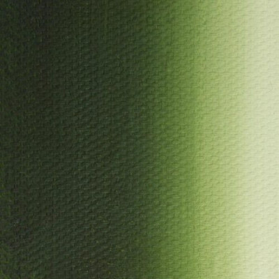 Nevskaya Palitra Olejová barva Master Class 46ml Sap Green 716