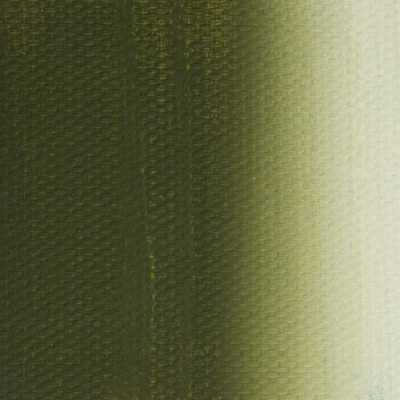 Nevskaya Palitra Olejová barva Master Class Olive Green 727
