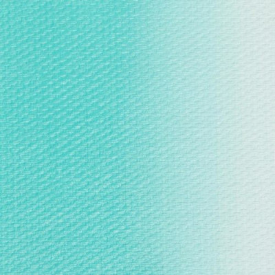 Nevskaya Palitra Olejová barva Master Class  46ml Turquoise greenish 733