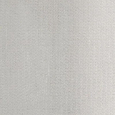 Nevskaya Palitra Olejová barva Master Class 46 ml Peterburg  grey 808