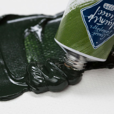 Nevskaya Palitra Olejová barva Master Class 46 ml Green Volkonskoite 700