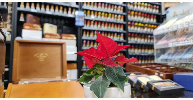 Vánoční provozní a prodejní doba 